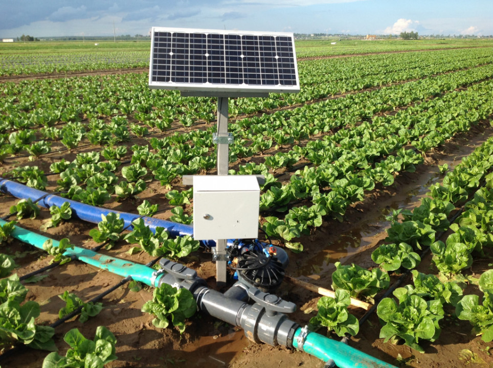 Профессиональный капельный полив: особенности и преимущества Профессиональный капельный полив: особенности и преимущества