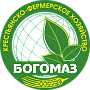 Богомаз