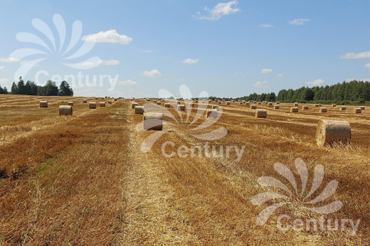 сетка сеновязальная 125х3000 