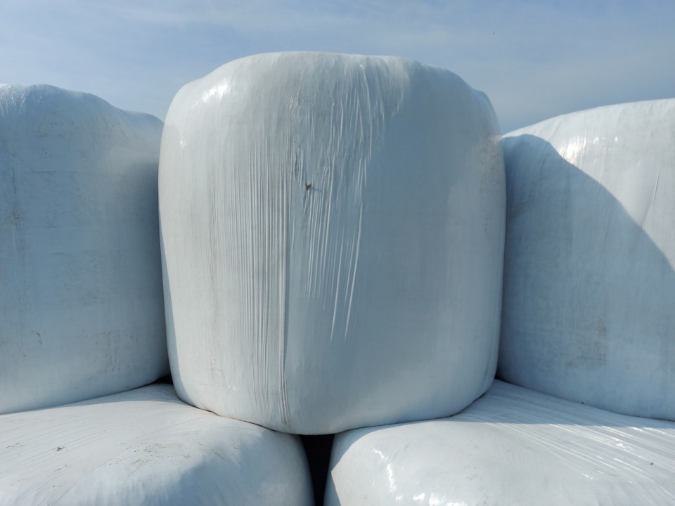 Технология заготовки и хранения сенажа Технология заготовки и хранения сенажа