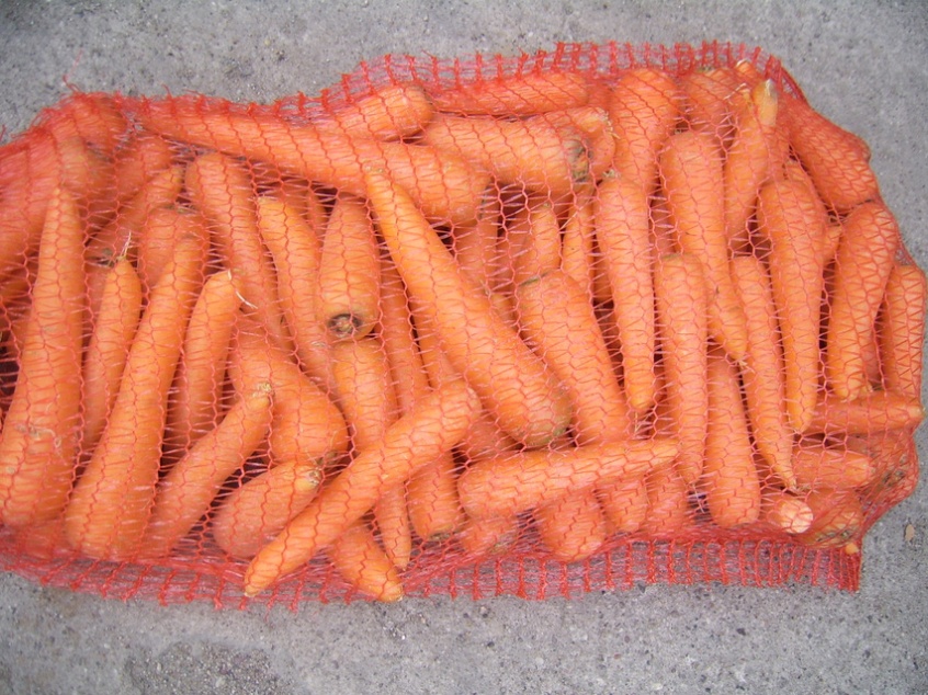 сетка для моркови сетка для моркови