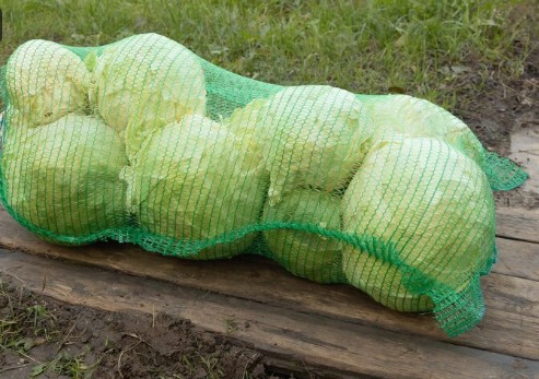 сетка для капусты сетка для капусты