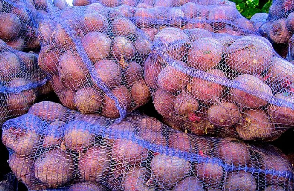 сетка для свеклы сетка для свеклы