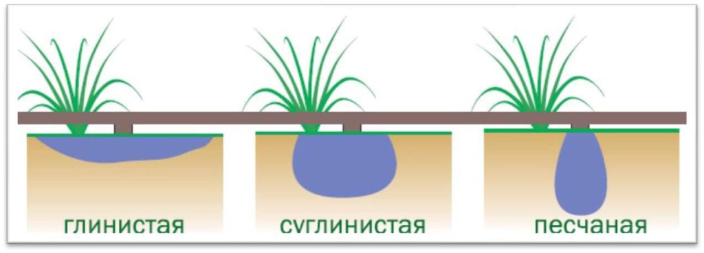 суглинистая.jpg суглинистая.jpg