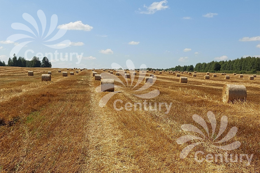 сетка сеновязальная 125х3000  сетка сеновязальная 125х3000