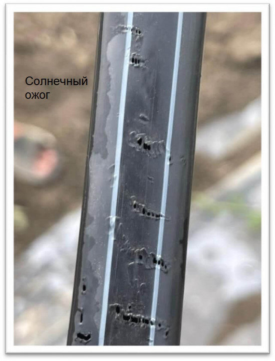 солнечный ожог.jpg солнечный ожог.jpg